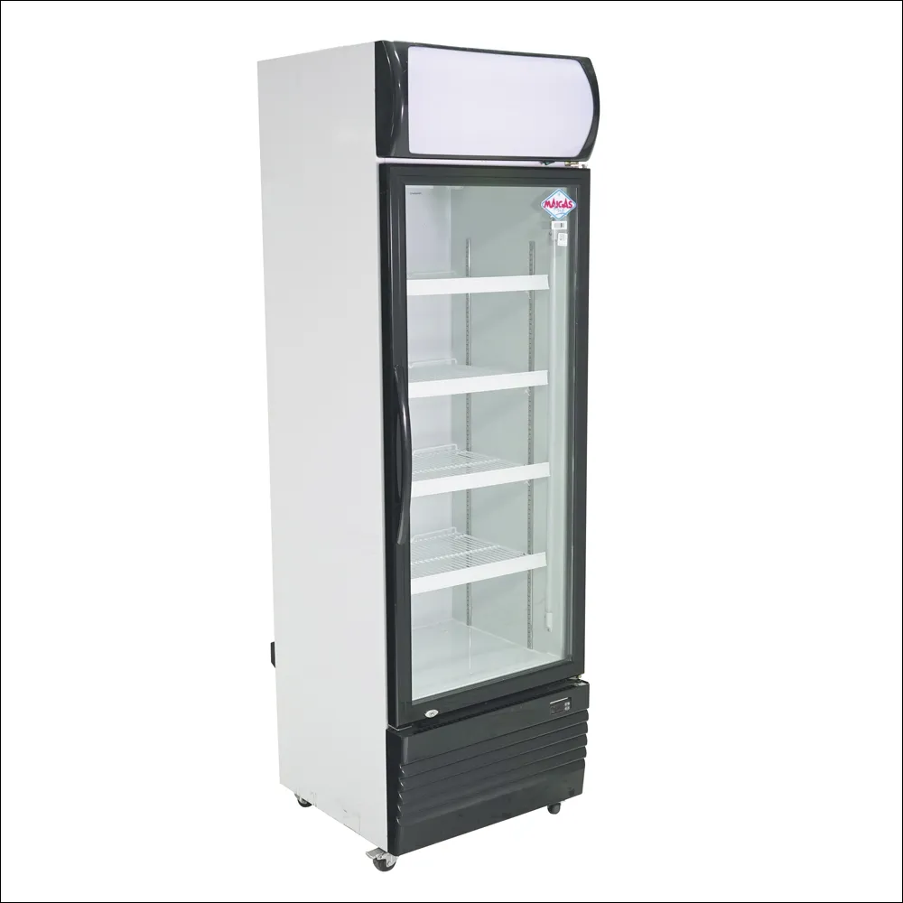 Visicooler 370L Maigas
